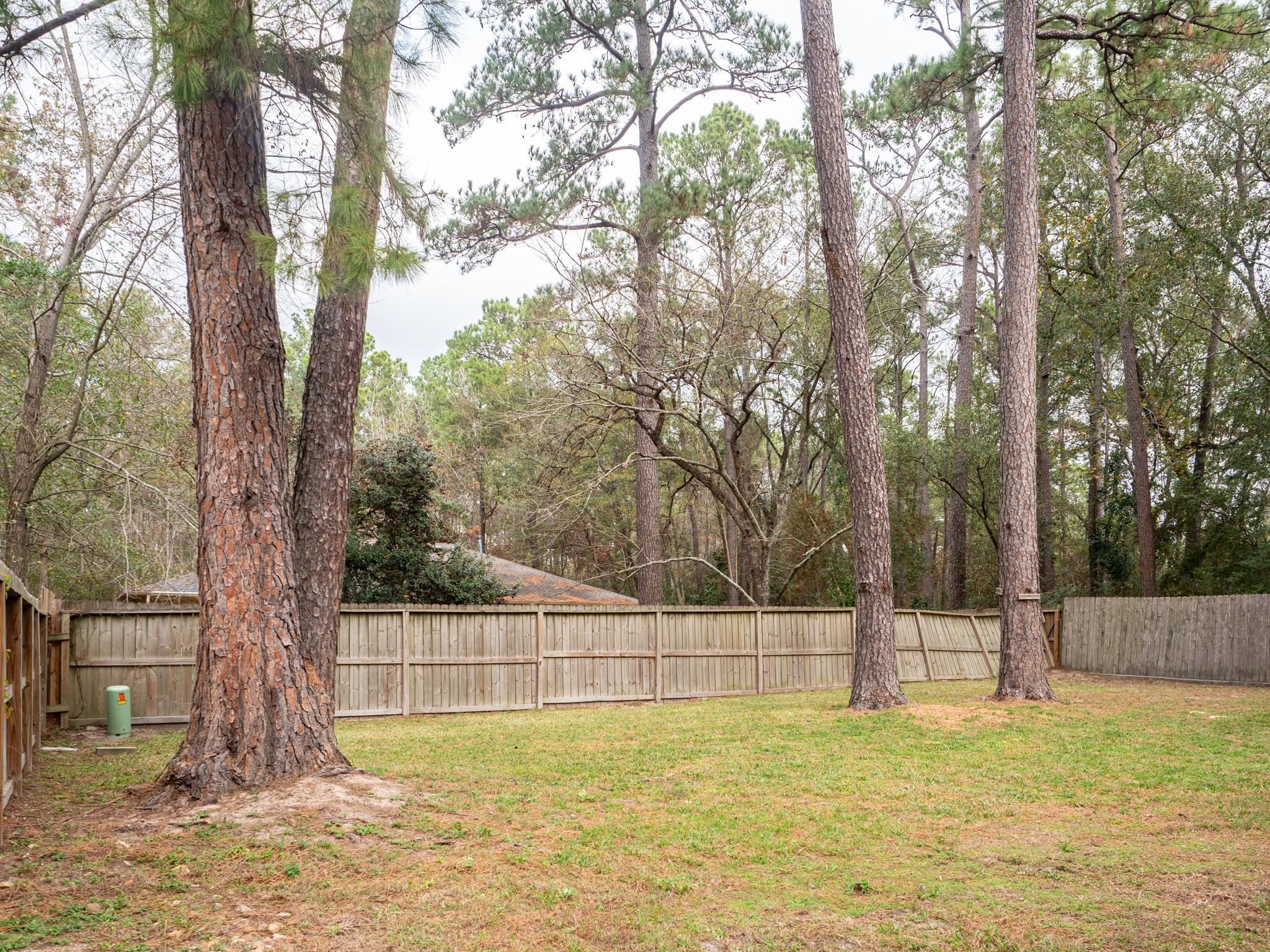3302 Willie Way