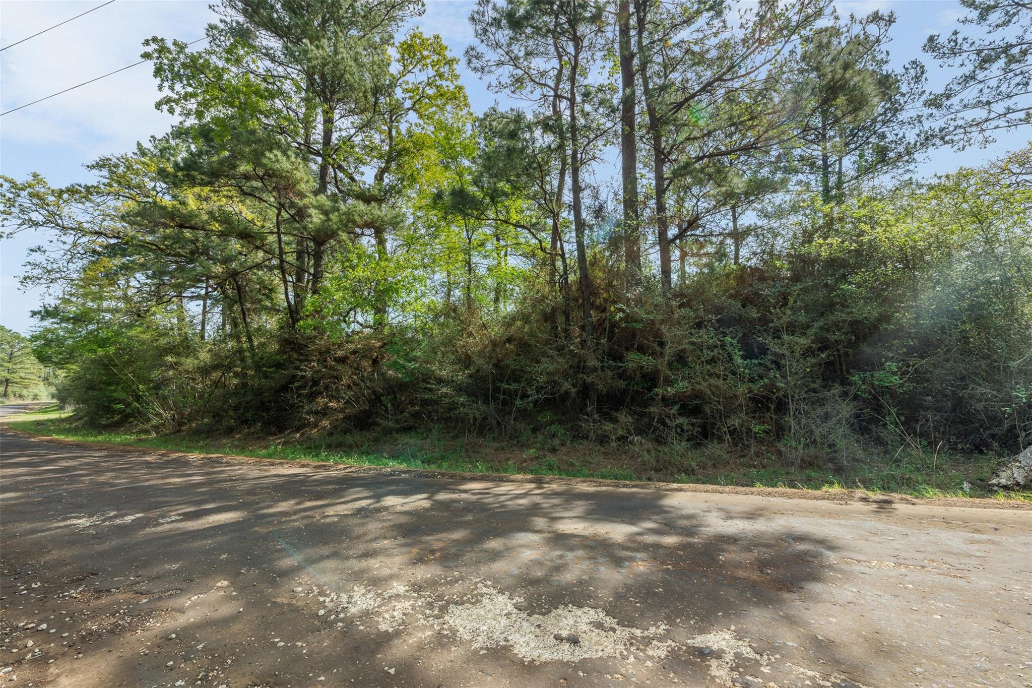 1631 County Road 131