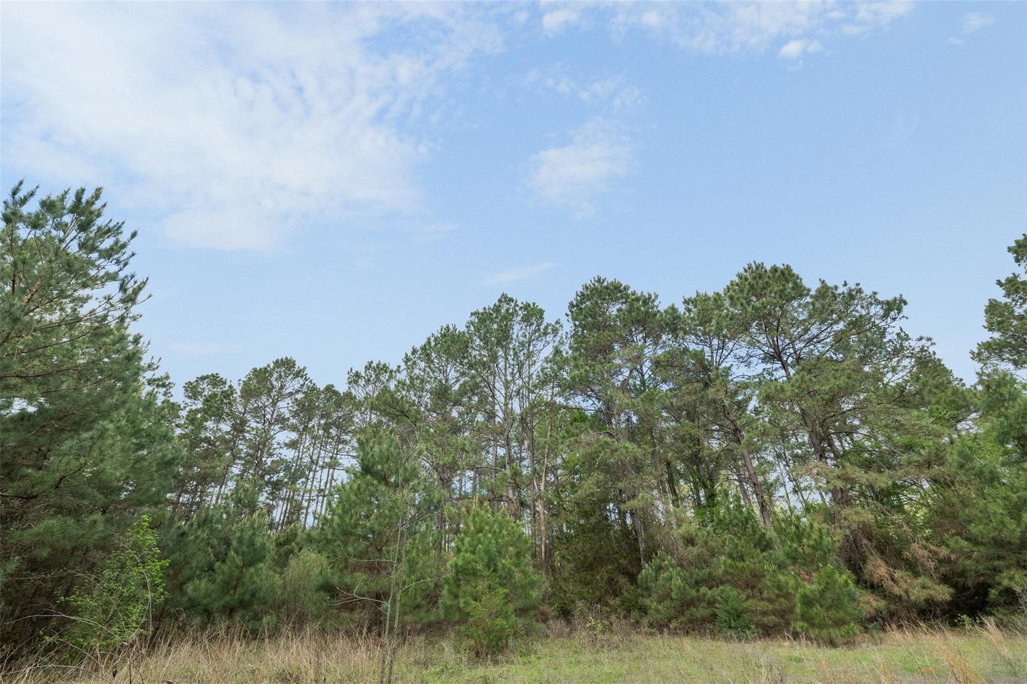 1631 County Road 131