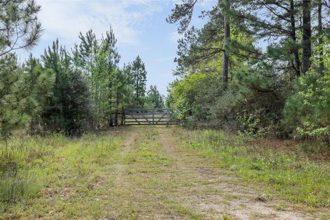 Vacant Land For Sale - 1631 County Road 131<br/> Leon County, Centerville, TX 75833