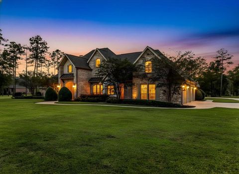 Photo of 9110 Bear Creek Drive, Kountze, TX 77625 (MLS # 70532858)