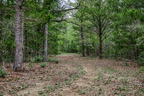 TBD (349.84 Acres) County Road 125 Ledbetter TX 78946