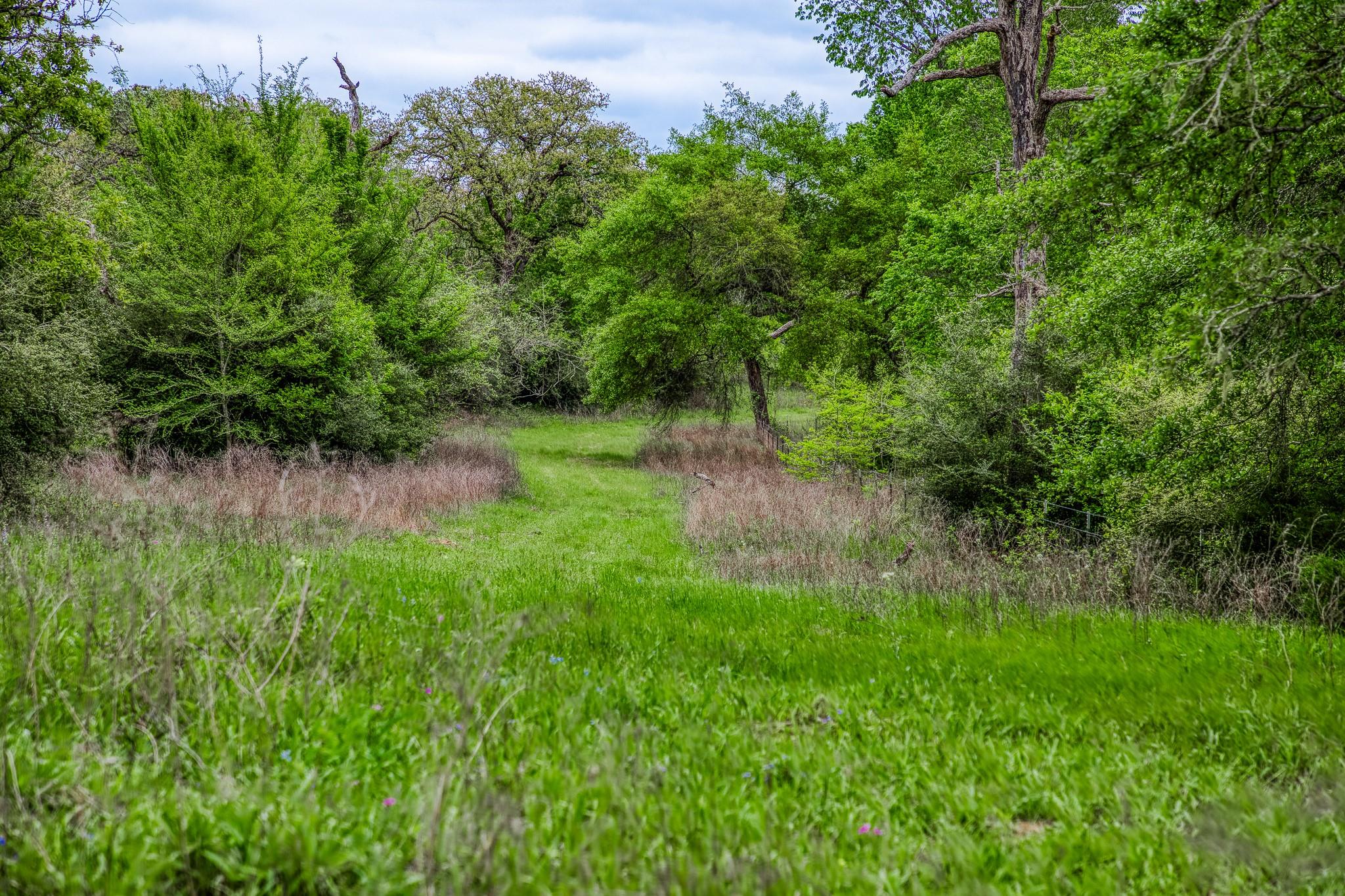 TBD (349.84 Acres) County Road 125