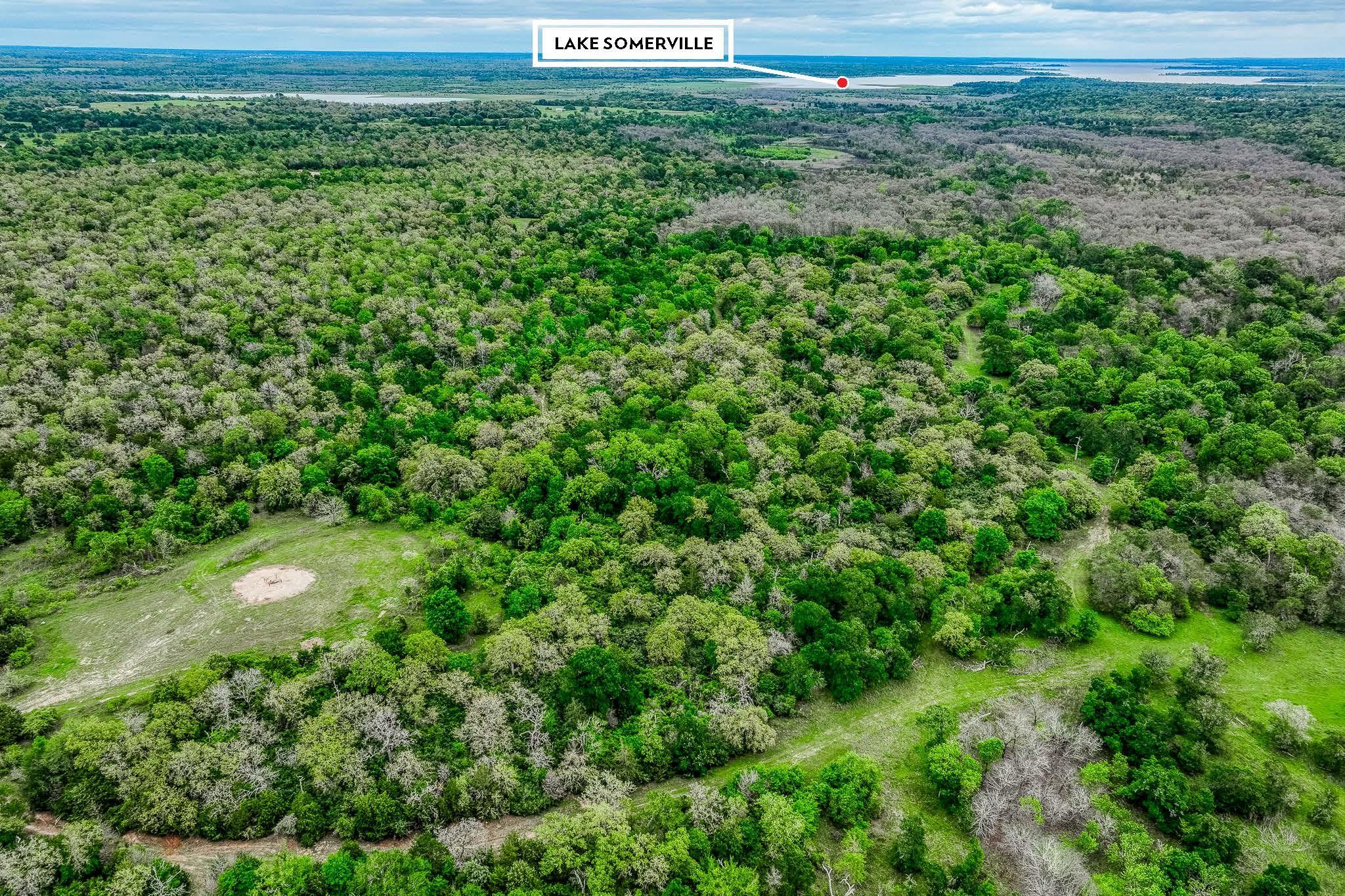 TBD (349.84 Acres) County Road 125