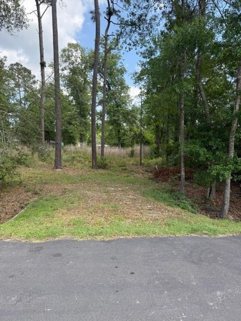 Photo of 2431 Gladiator Drives, New Caney, TX 77357 (MLS # 84343142)