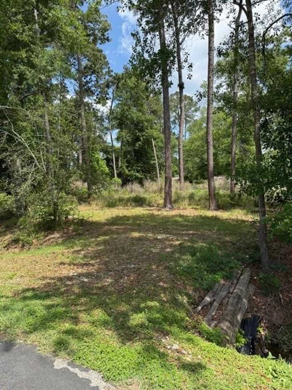 Photo of 2431 Gladiator Drives, New Caney, TX 77357 (MLS # 84343142)