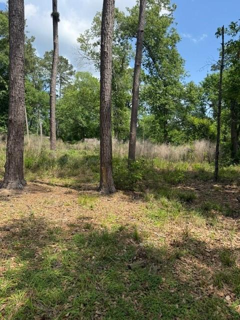 2431 Gladiator Drives