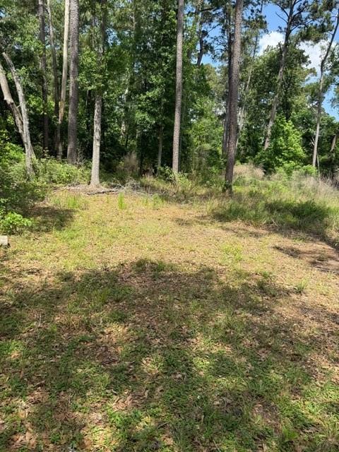 2431 Gladiator Drives