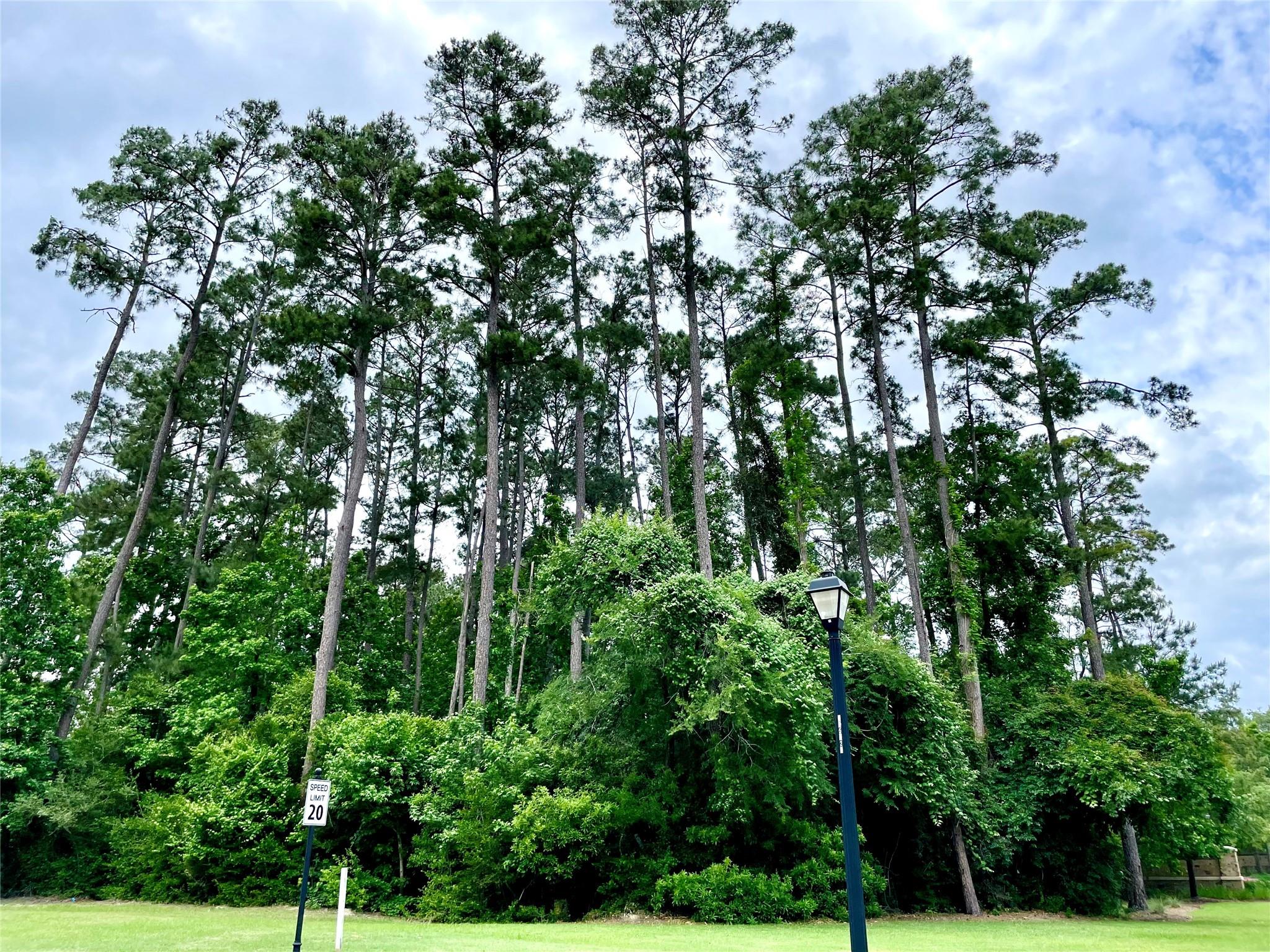 67 N Glenwild Circle