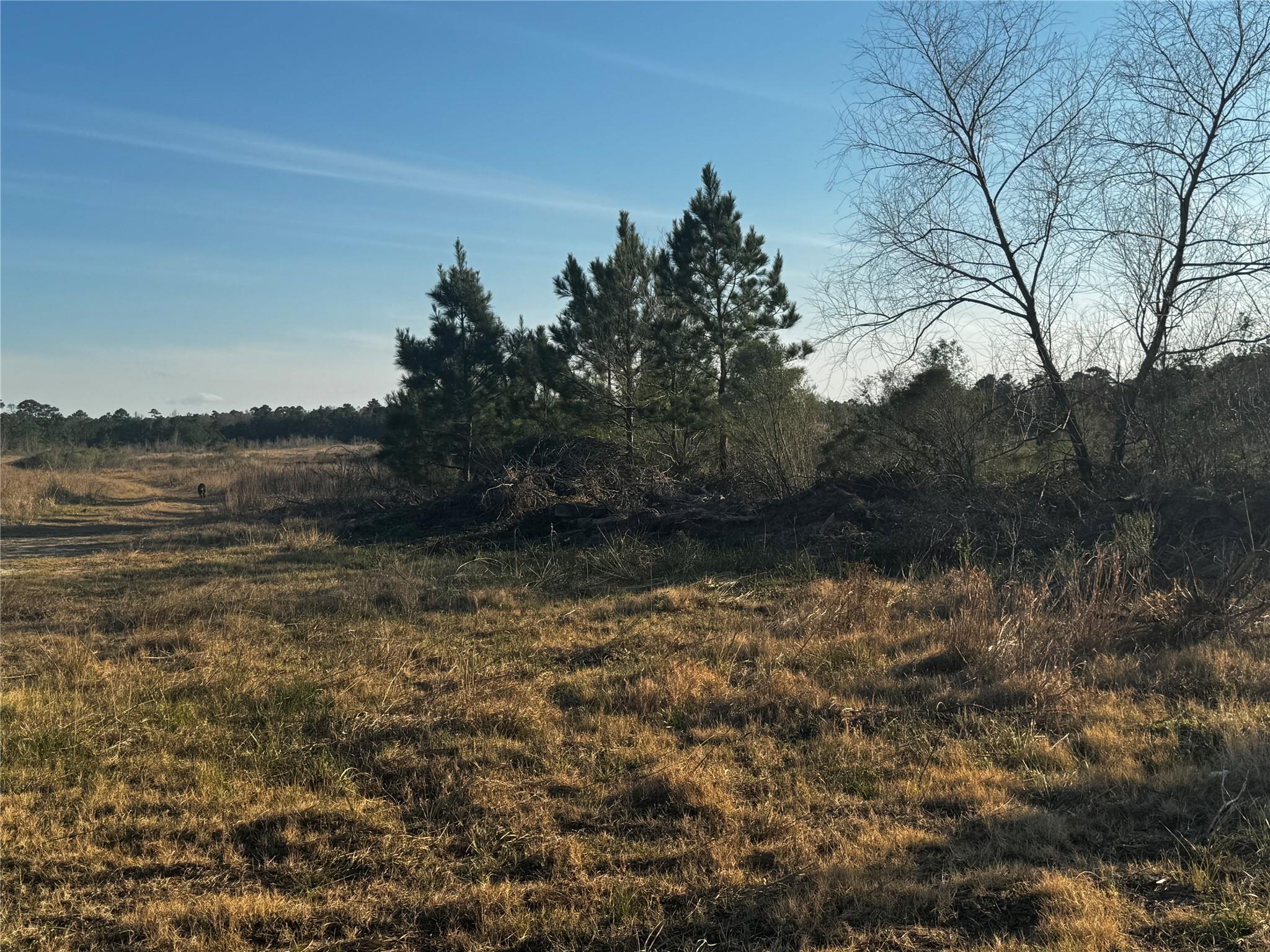 0 Moonshine Hill Road