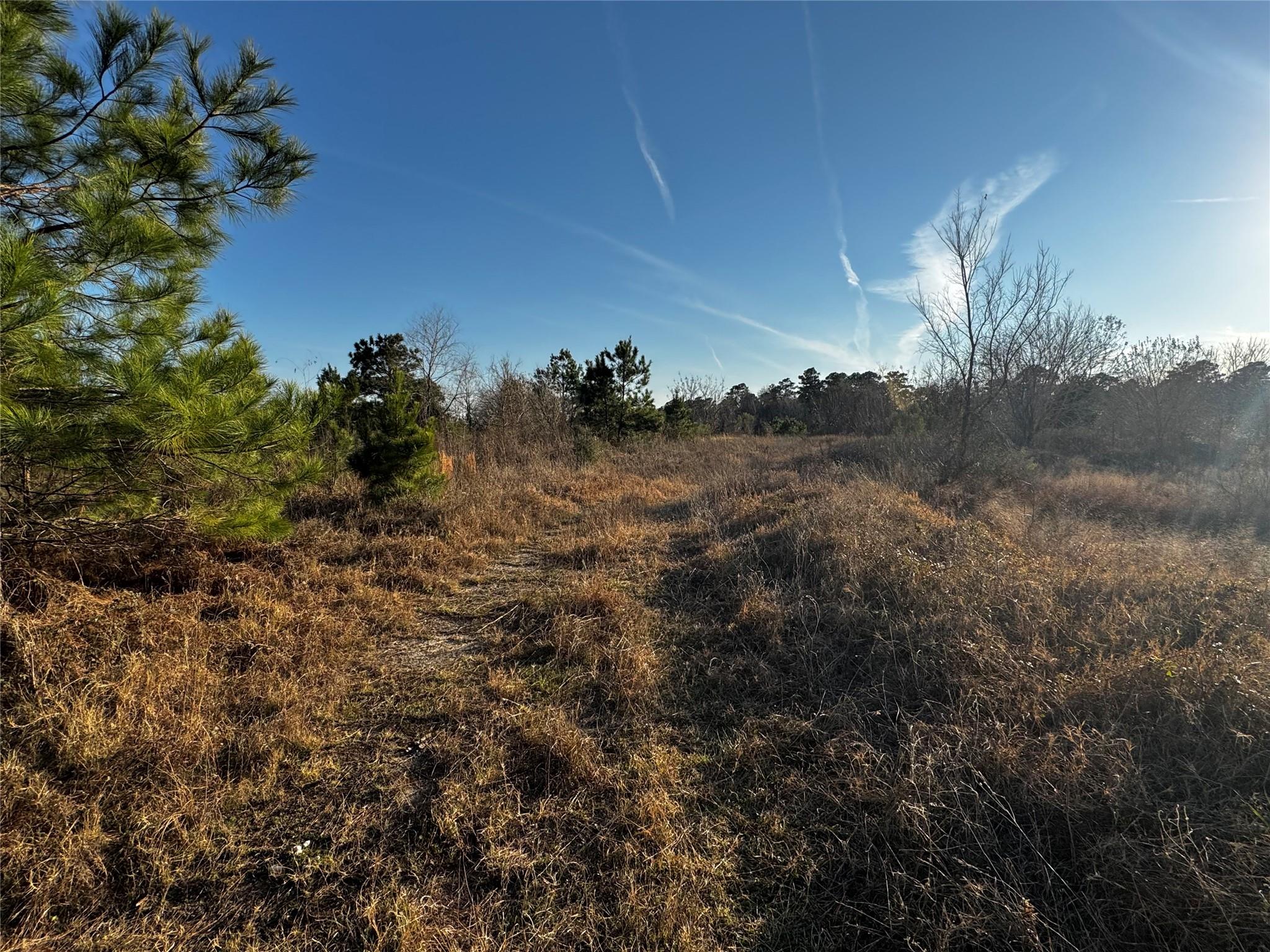 0 Moonshine Hill Road