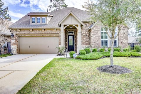 404 Summit Ridge Court Willis TX 77318