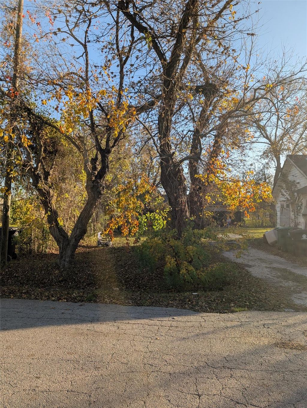 Photo of 3104 Roland Street, Houston, TX 77026 (MLS # 11091207)