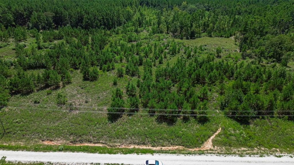 Photo of 0 Cherokee Trail Trail, Lovelady, TX 75851 (MLS # 74094133)
