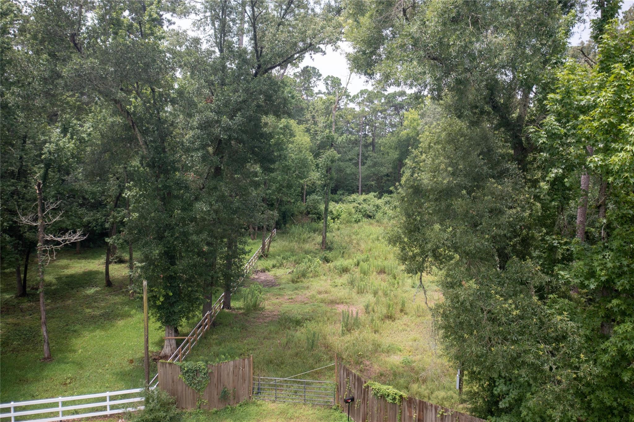 919 Little Doe Drive