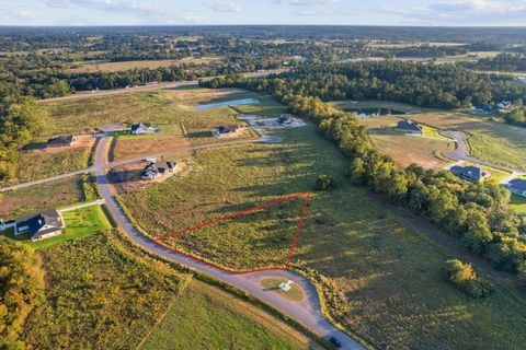 Photo of 9548 Cedar Creek Lane, Plantersville, TX 77363 (MLS # 25893414)