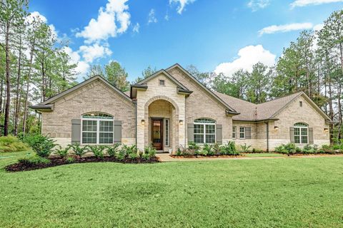 Photo of 40724 Lost San Saba Lane, Montgomery, TX 77316 (MLS # 91530437)