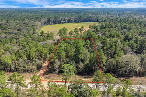 Photo of 12109 Dawn Tree Lane, Willis, TX 77378 (MLS # 35445263)