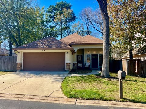 13901 Hydra Court Willis TX 77318