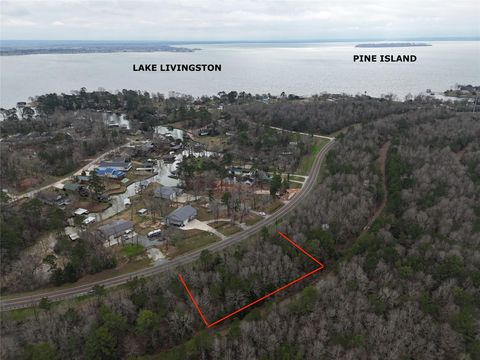 Photo of TBD Bankside Drive, Livingston, TX 77351 (MLS # 42219049)