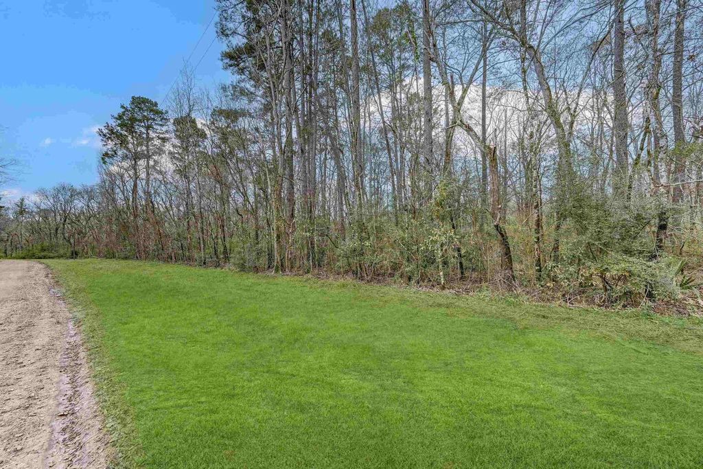 Photo of 13015 Royal Estates Dr Dr, Conroe, TX 77303 (MLS # 95674173)