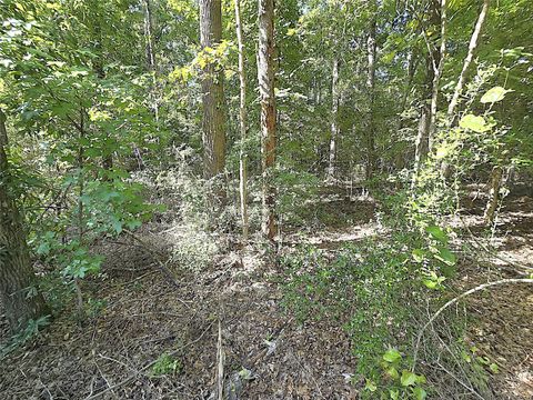 Photo of TBD Rugeley Trail, Livingston, TX 77351 (MLS # 53403754) Photo of TBD Rugeley Trail, Livingston, TX 77351 (MLS # 53403754)