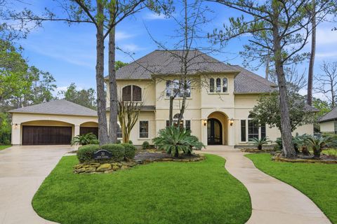 30 N Palmiera Cir The Woodlands TX 77382
