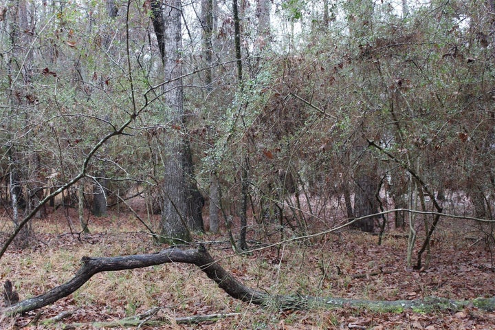 Photo 1 of 5 — LOT 6 Magnolia Court, Trinity, TX 75862