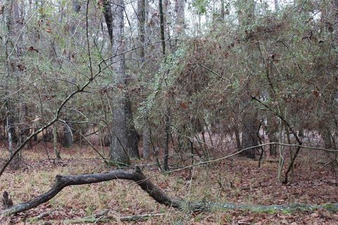 Vacant Land For Sale - LOT 6 Magnolia Court<br/> Trinity, TX 75862