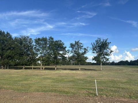 Photo of 0 County Road 126, Tract 1, Van Vleck, TX 77482 (MLS # 24931652) Photo of 0 County Road 126, Tract 1, Van Vleck, TX 77482 (MLS # 24931652)