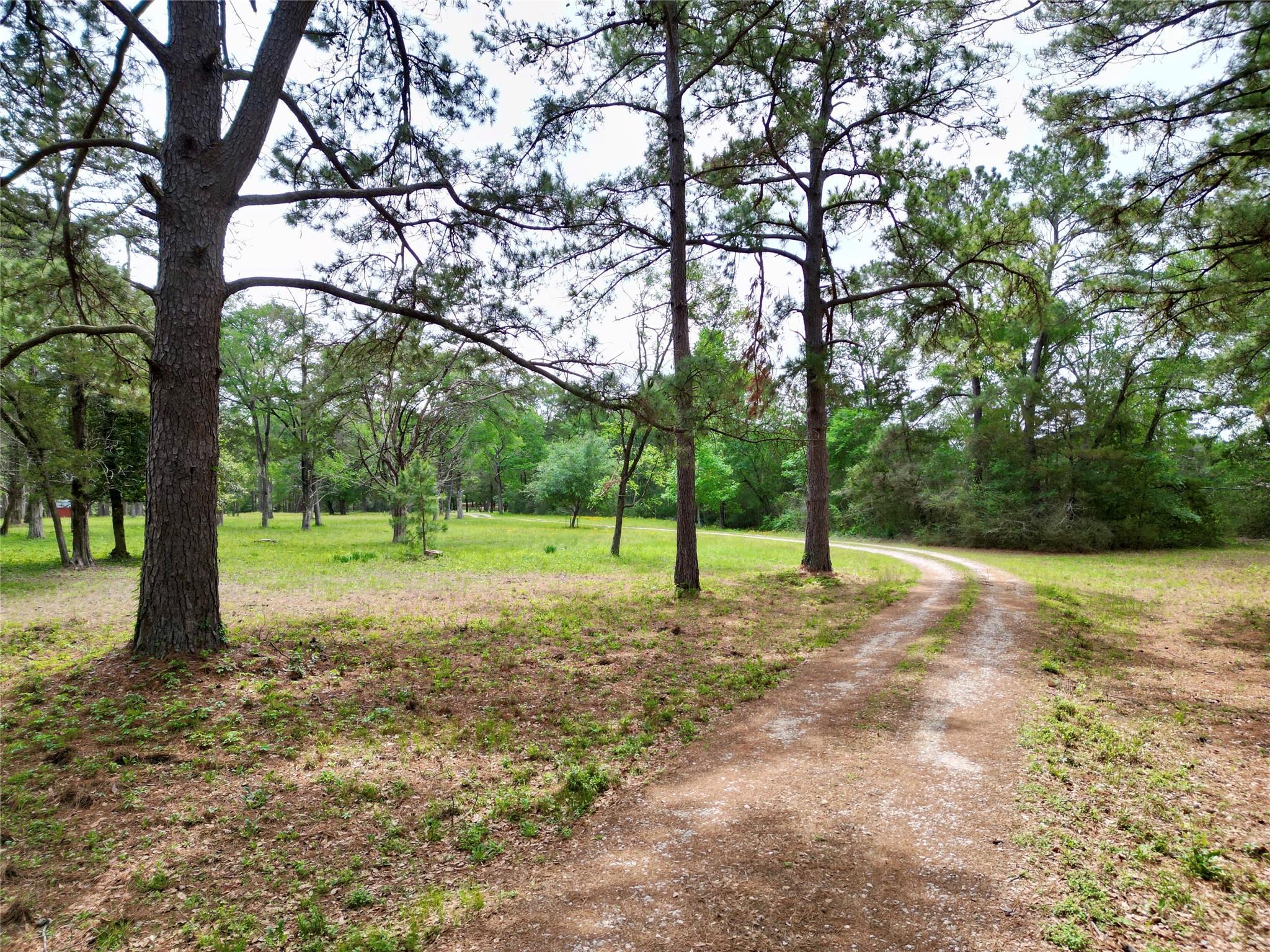 10314 County Road 417a