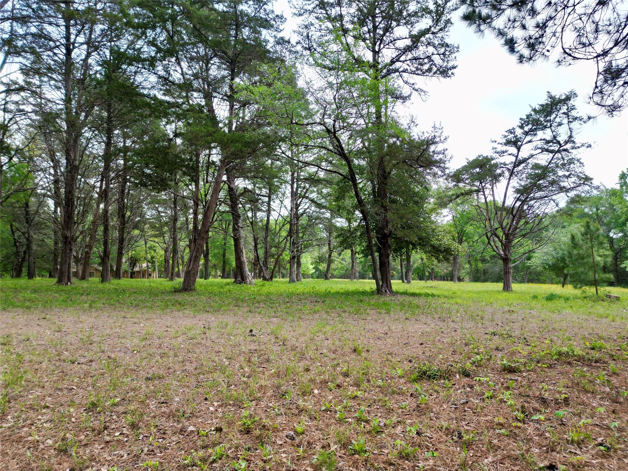 10314 County Road 417a