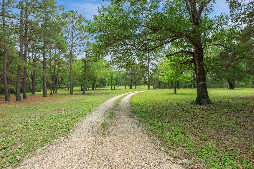 Photo of 10314 County Road 417a, Navasota, TX 77868 (MLS # 62552195)