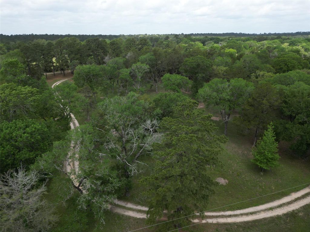 Photo of 10314 County Road 417a, Navasota, TX 77868 (MLS # 62552195)