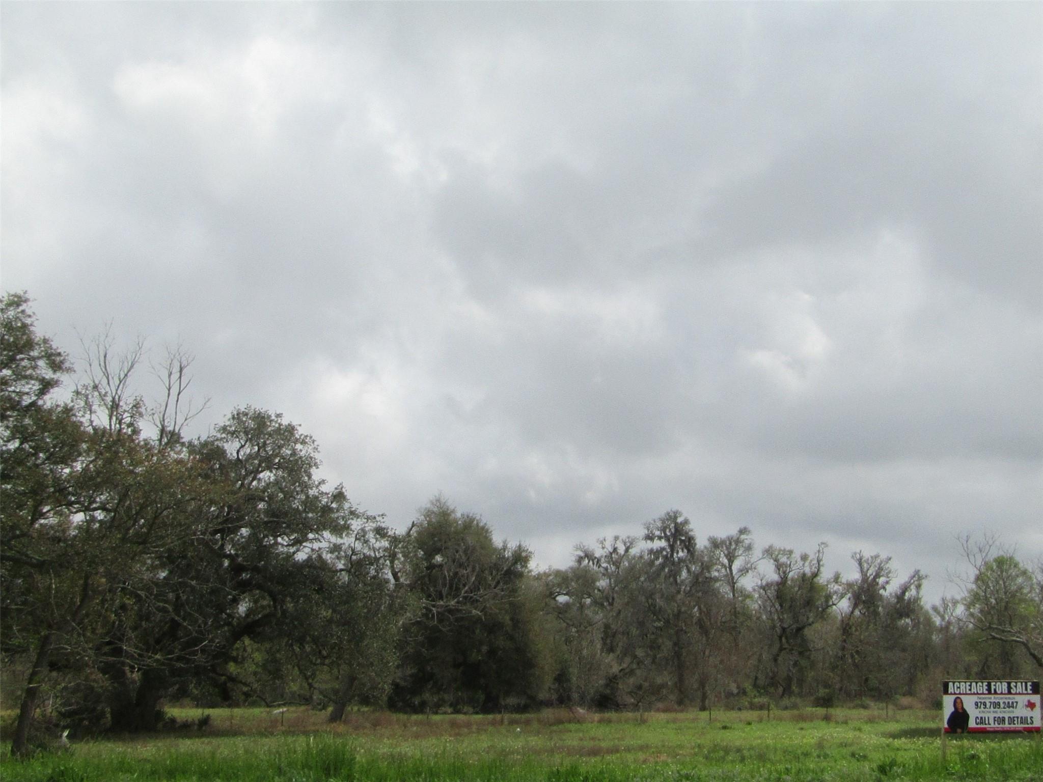 2481 Fm 521 Road