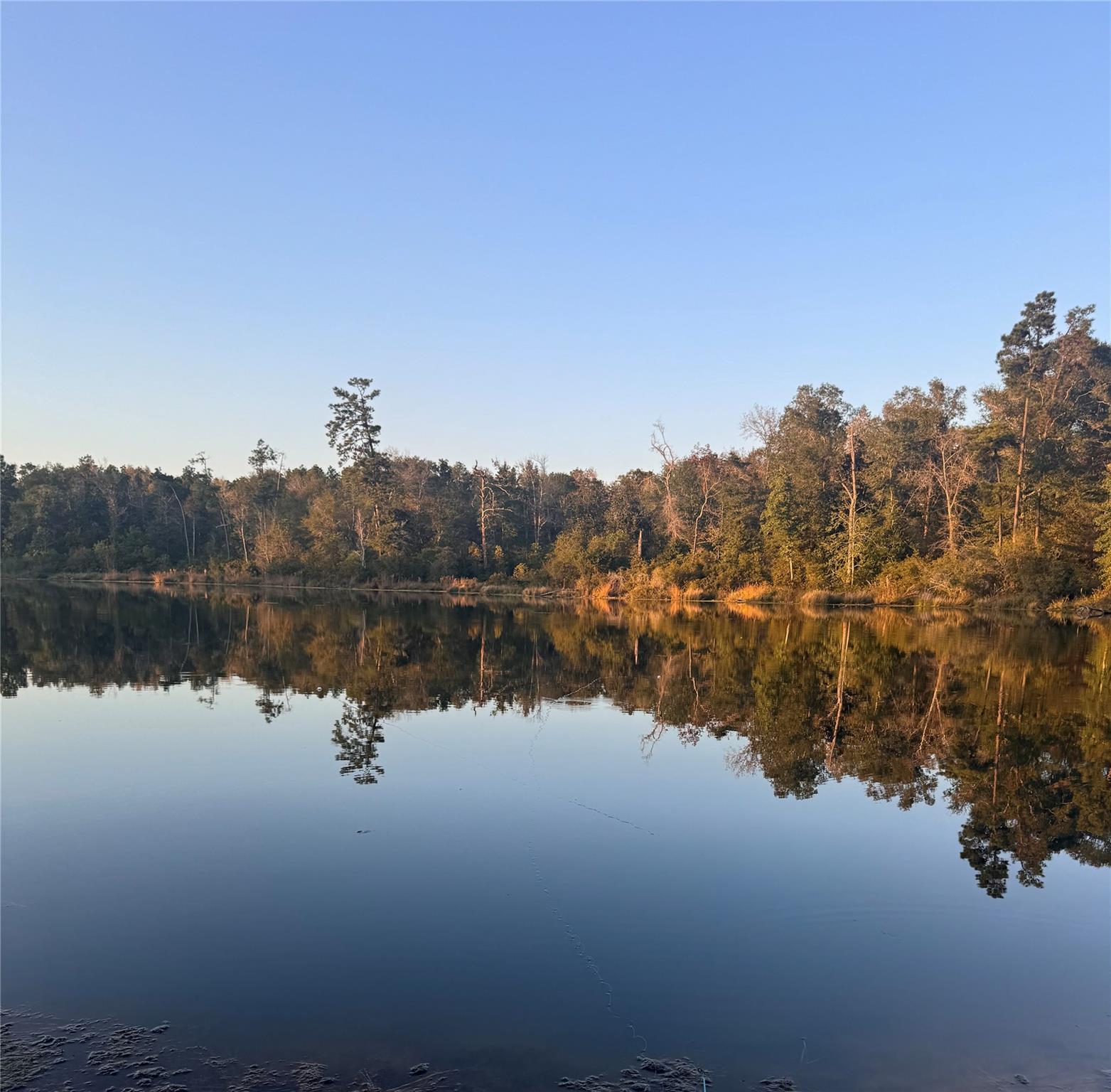 11755 Oakwood Ranch Drive