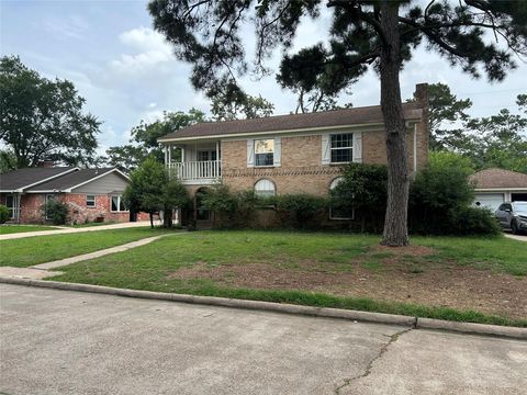Photo of 5203 Pine Arbor Drive, Houston, TX 77066 (MLS # 46524795)