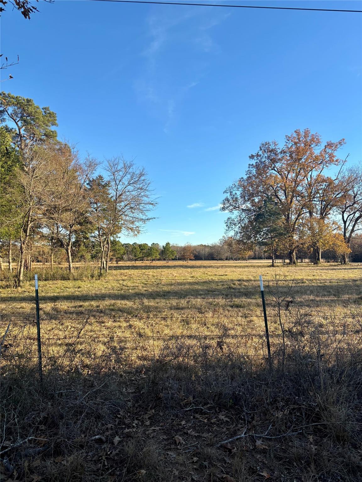 941 County Road 4110