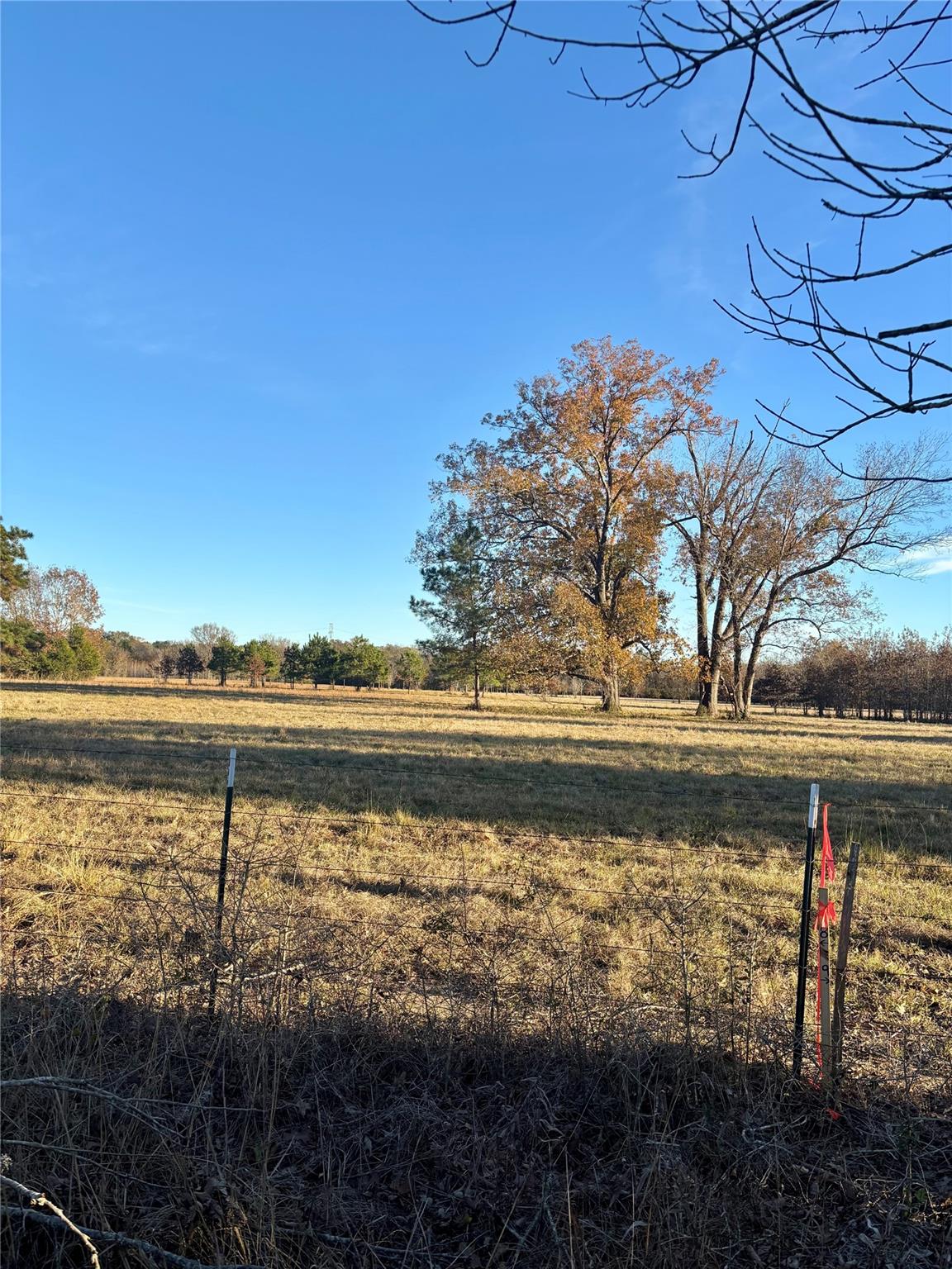 941 County Road 4110