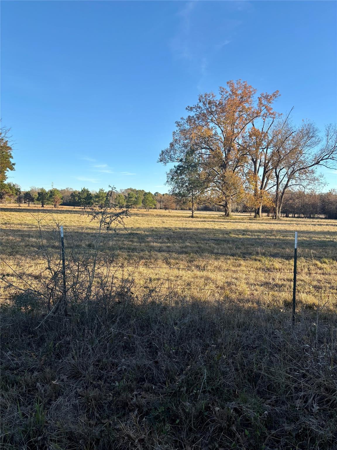 941 County Road 4110