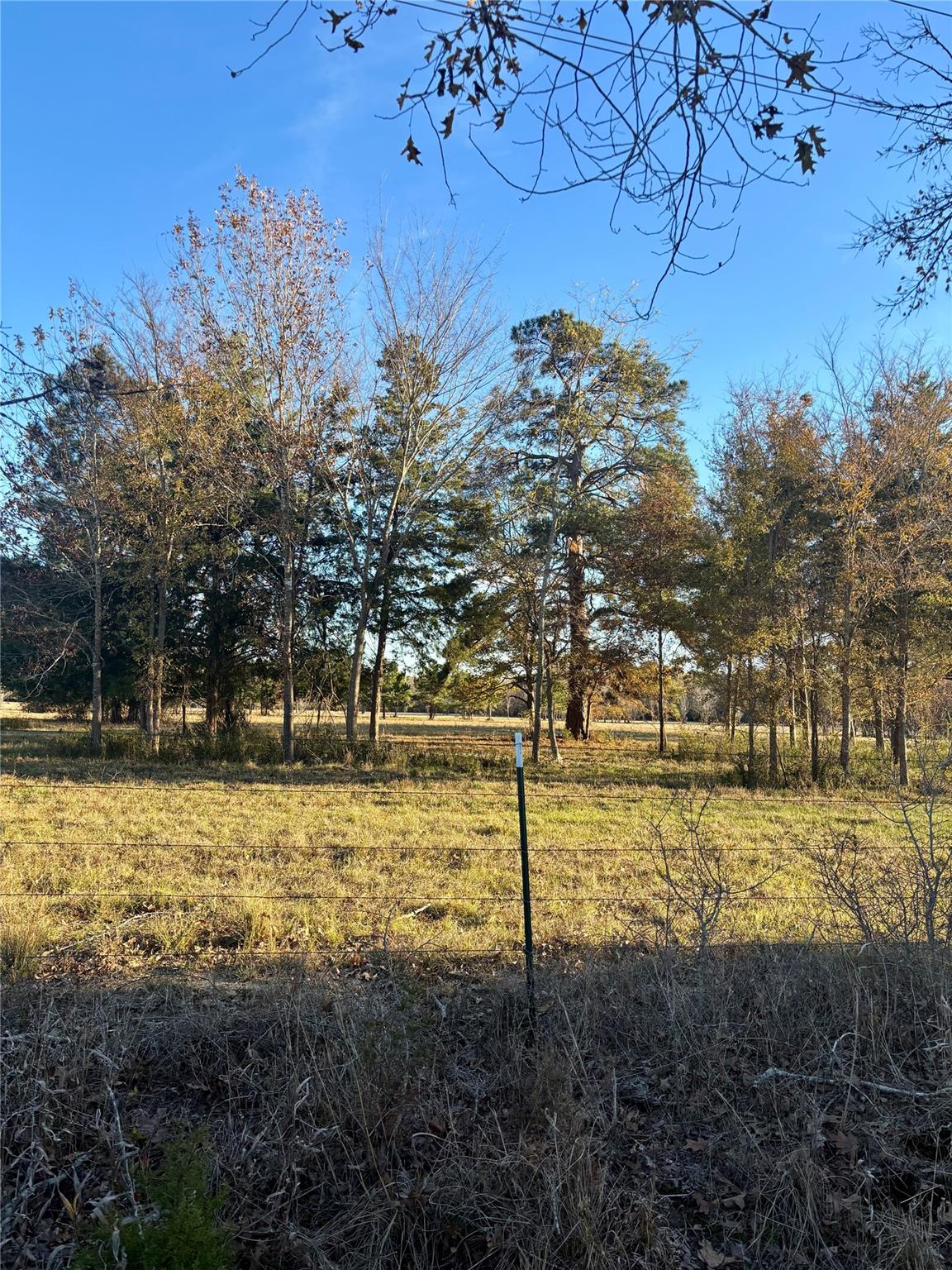 941 County Road 4110