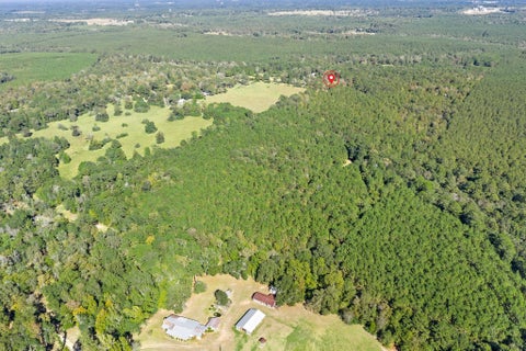 Photo of 610 Private Road 5130, Woodville, TX 75979 (MLS # 47956619)