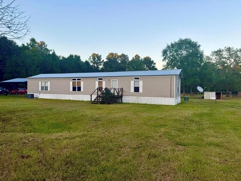 Photo of 180 County Road 4355, Woodville, TX 75979 (MLS # 42538937)