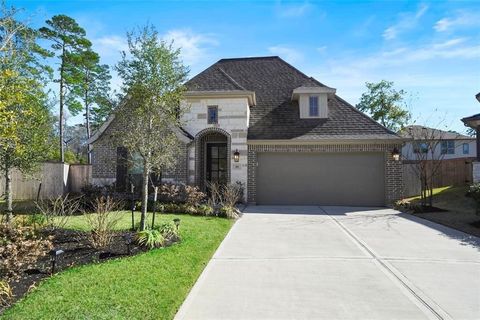 Photo of 100 Wake Valley Court, Conroe, TX 77304 (MLS # 18352093)