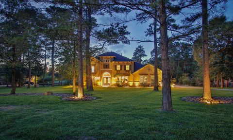 Photo of 28733 Lakeside Green, Magnolia, TX 77355 (MLS # 20495364)