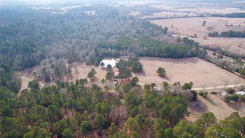 Photo of 6161 County Road 3385, Lovelady, TX 75851 (MLS # 14769404)