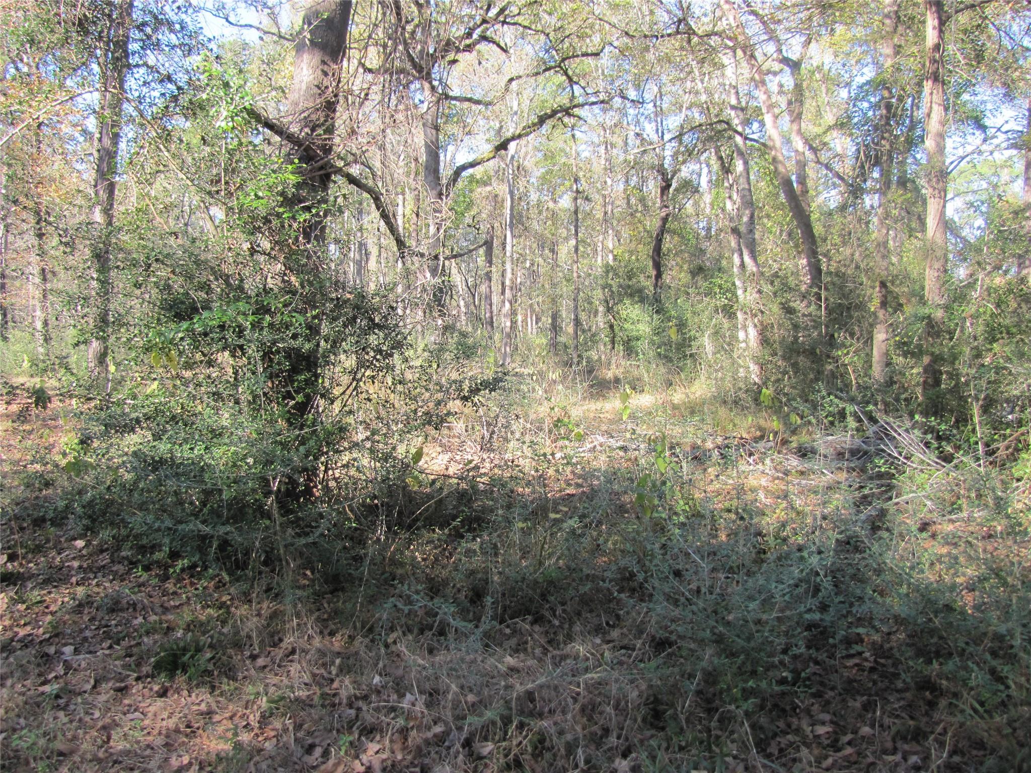 32602 Dogwood Trail