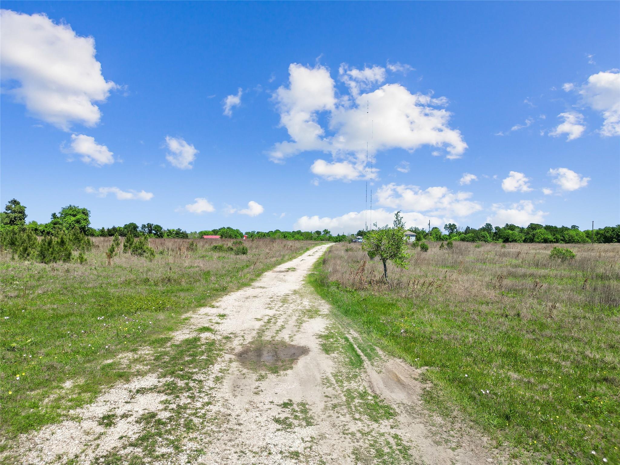 11242 Longstreet Road