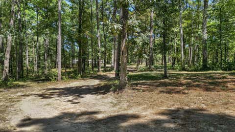 Photo of 188 Camp Road, Trinity, TX 75862 (MLS # 62834938)