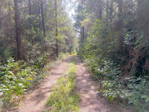 Photo of 0 County Road 2650, Cleveland, TX 77327 (MLS # 17256045)